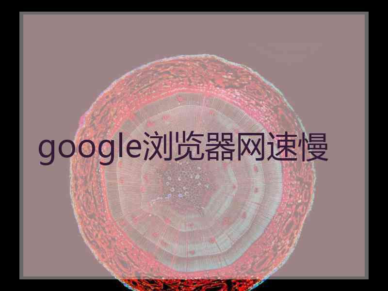 google浏览器网速慢