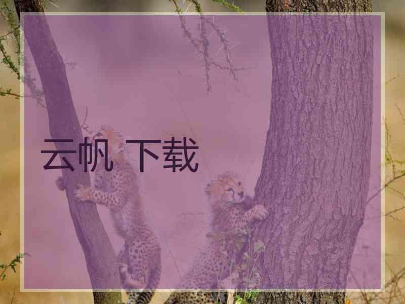 云帆 下载
