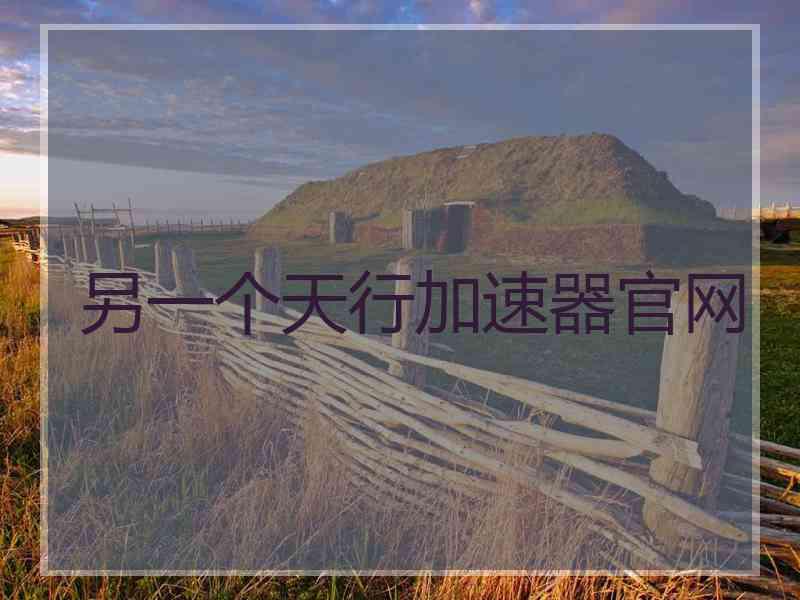 另一个天行加速器官网
