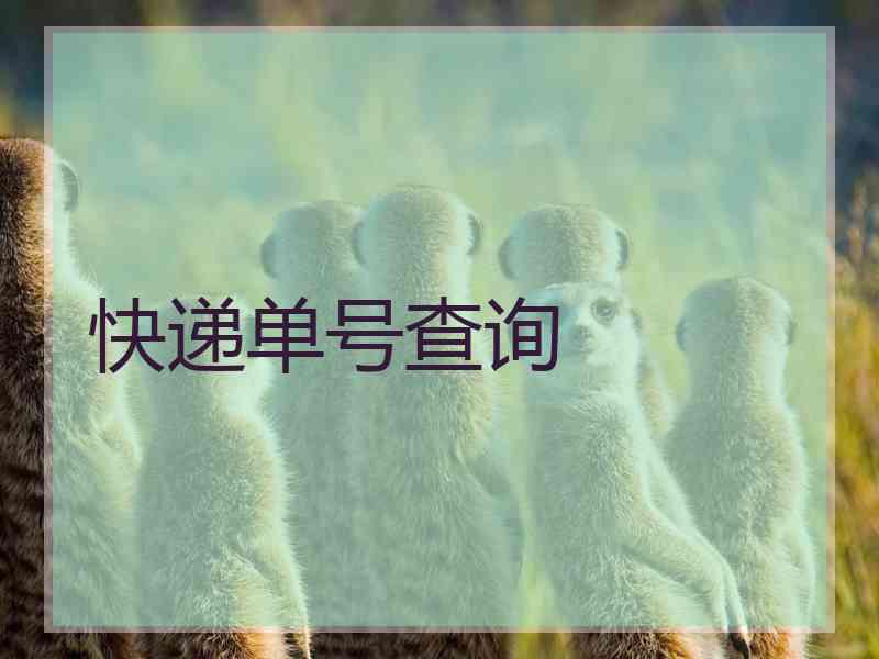 快递单号查询