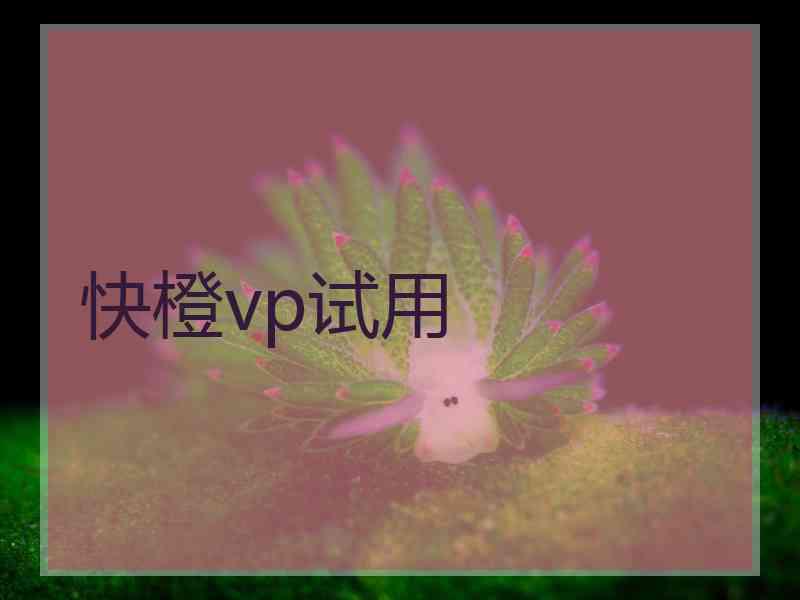 快橙vp试用