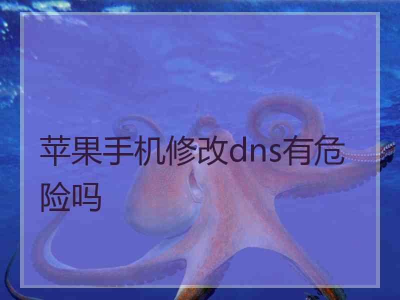 苹果手机修改dns有危险吗