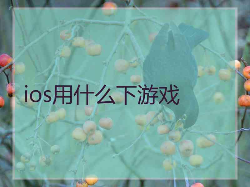 ios用什么下游戏
