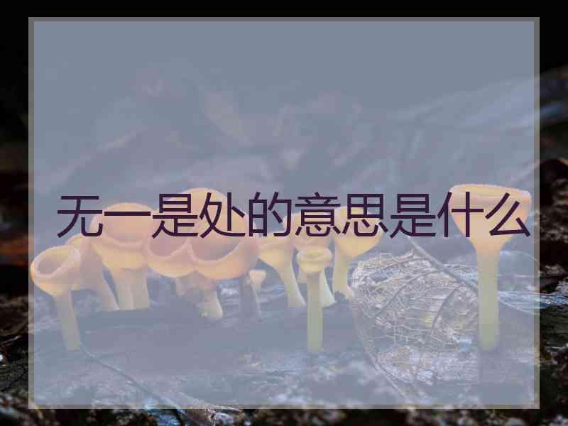 无一是处的意思是什么