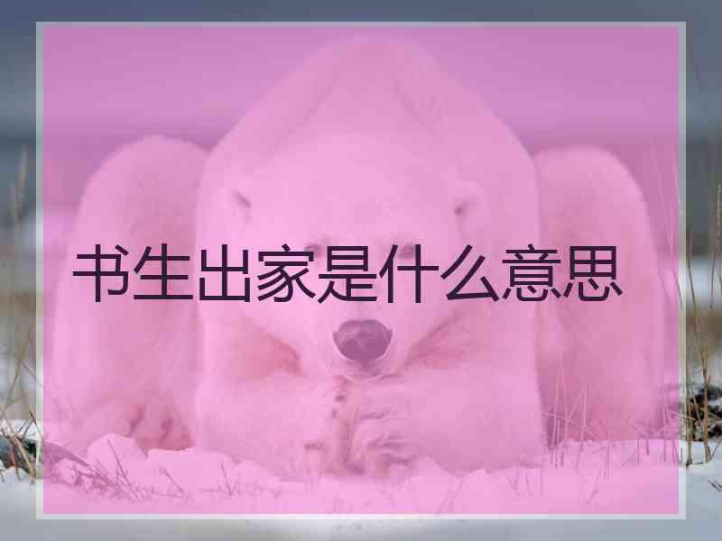 书生出家是什么意思