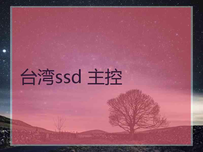 台湾ssd 主控