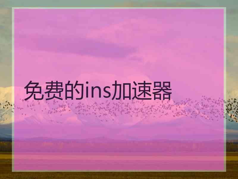 免费的ins加速器