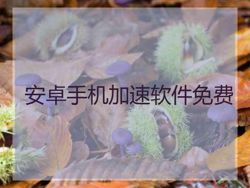 安卓手机加速软件免费