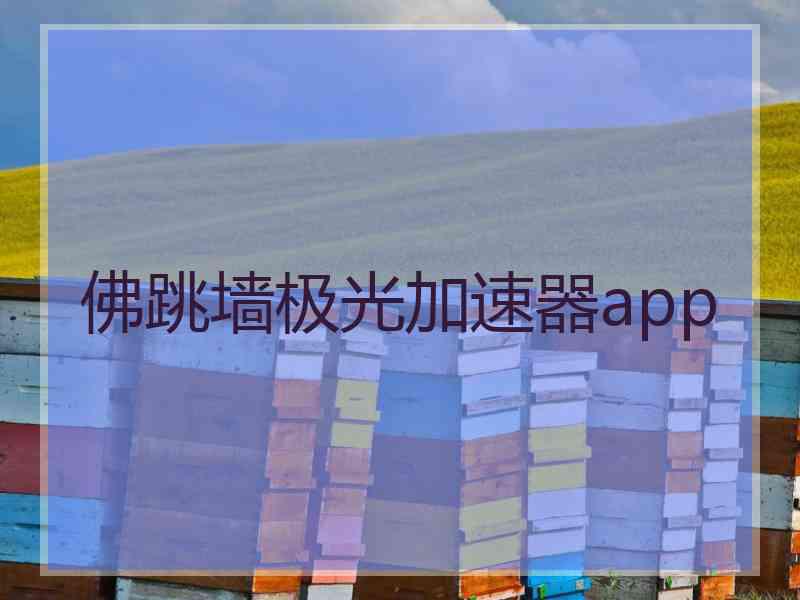 佛跳墙极光加速器app