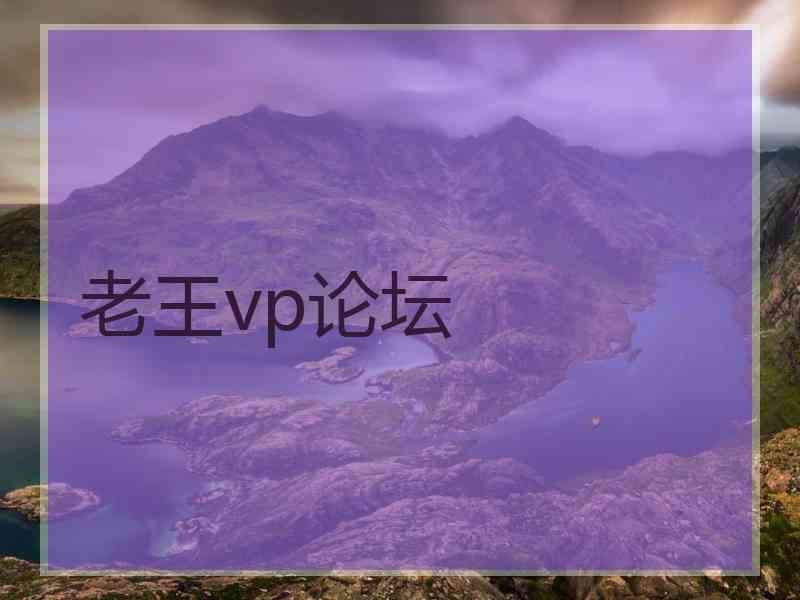 老王vp论坛