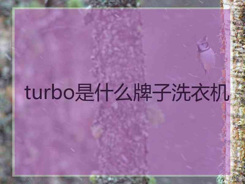 turbo是什么牌子洗衣机