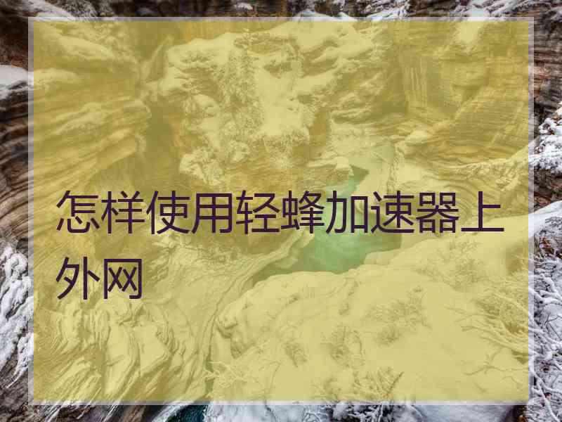 怎样使用轻蜂加速器上外网