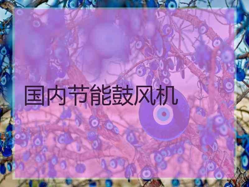 国内节能鼓风机