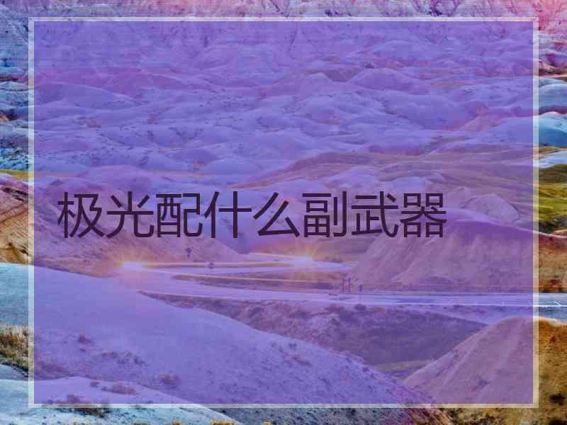 极光配什么副武器