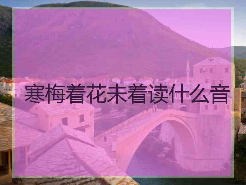 寒梅着花未着读什么音