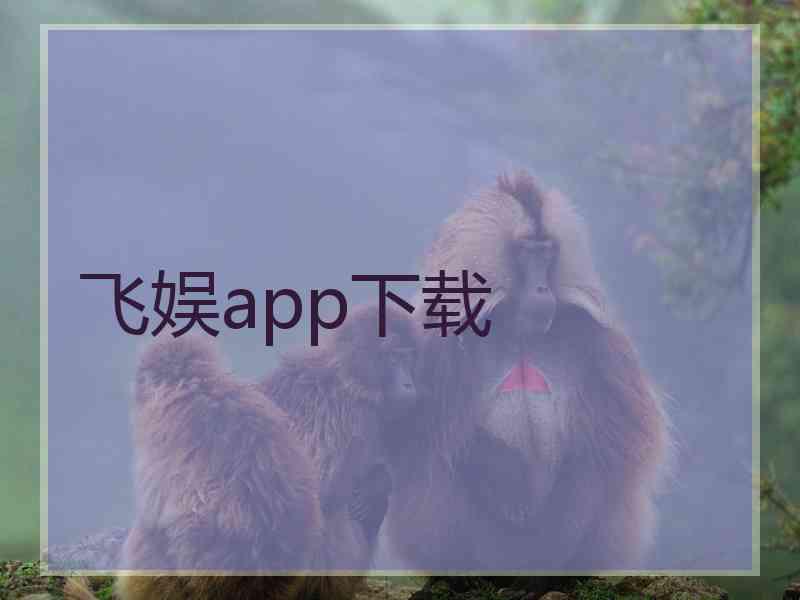飞娱app下载
