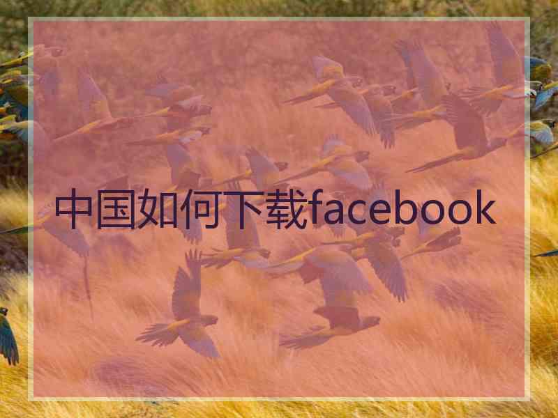 中国如何下载facebook