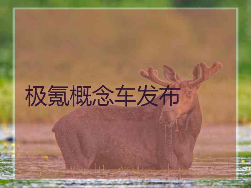 极氪概念车发布