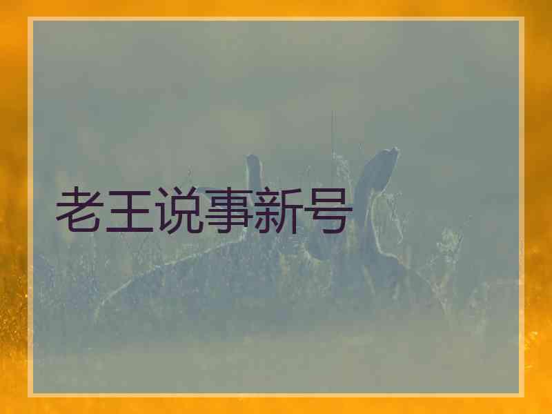 老王说事新号