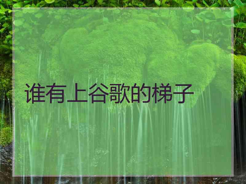 谁有上谷歌的梯子