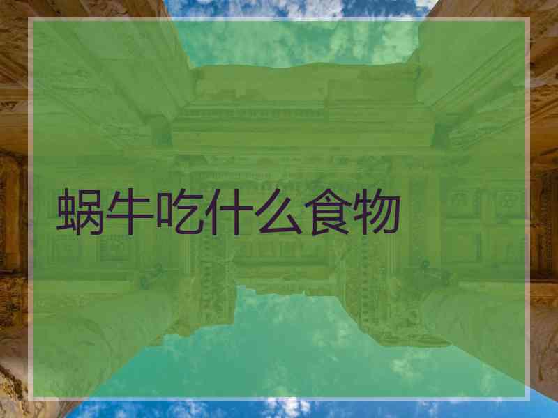 蜗牛吃什么食物