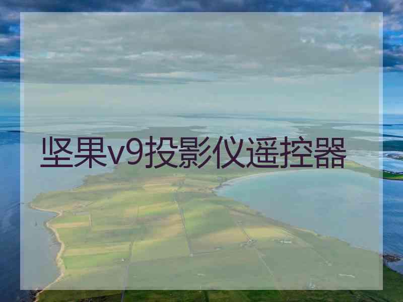 坚果v9投影仪遥控器
