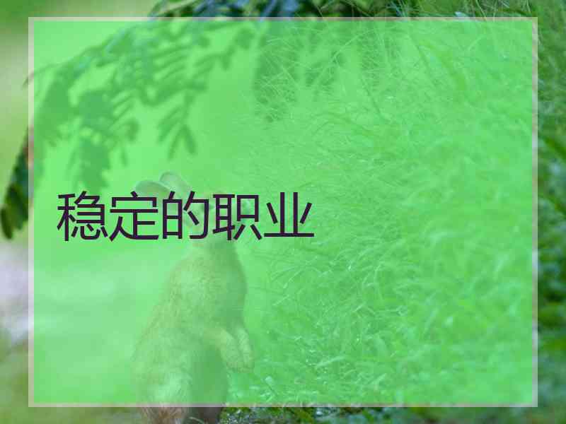 稳定的职业