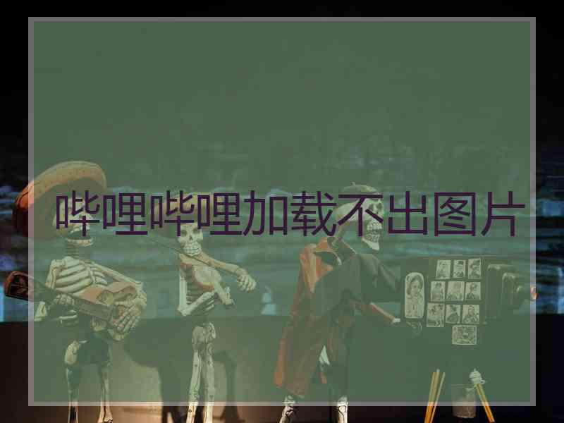 哔哩哔哩加载不出图片