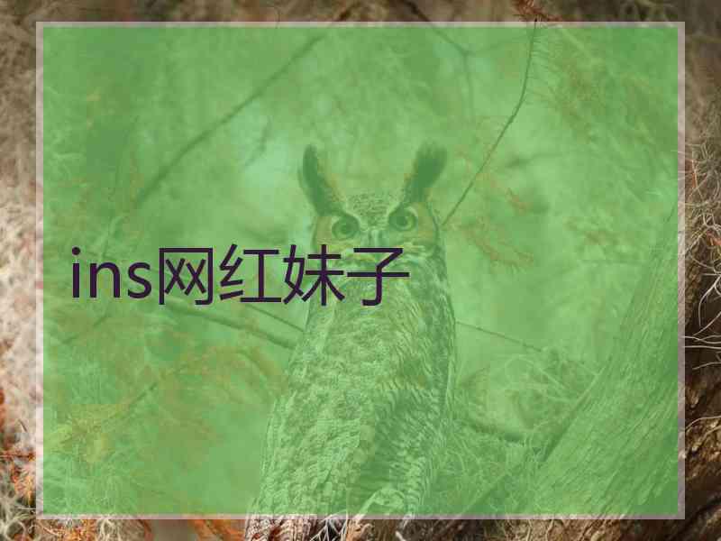 ins网红妹子
