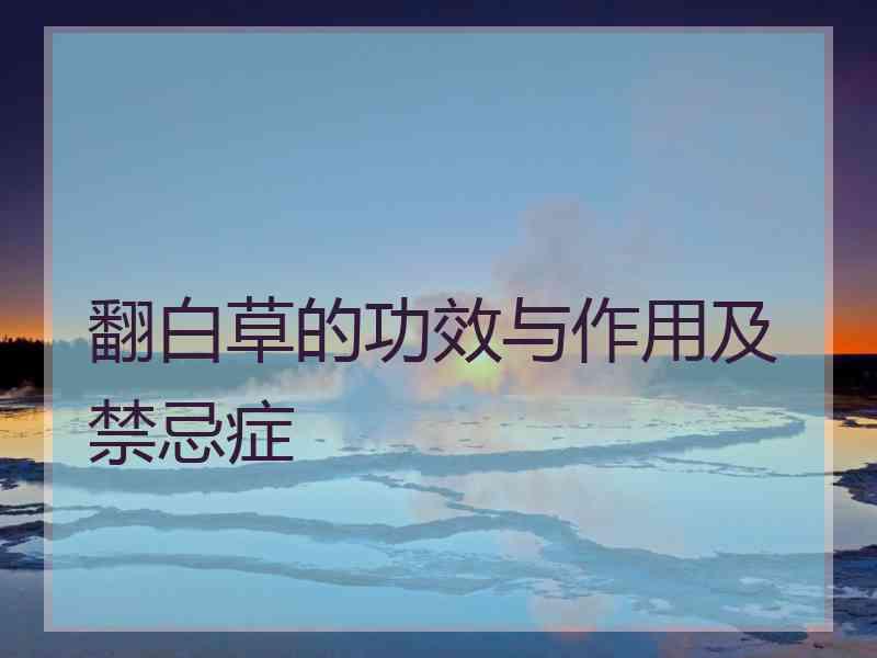 翻白草的功效与作用及禁忌症