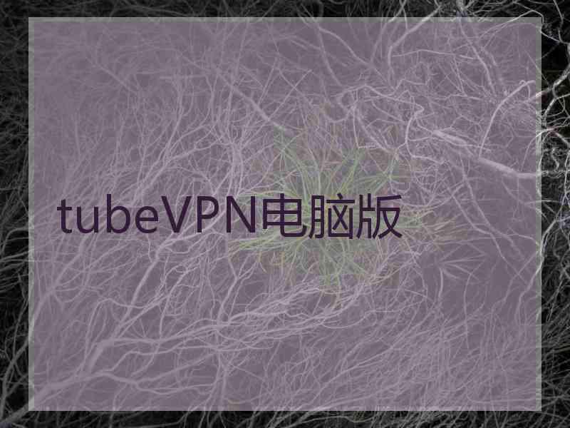 tubeVPN电脑版