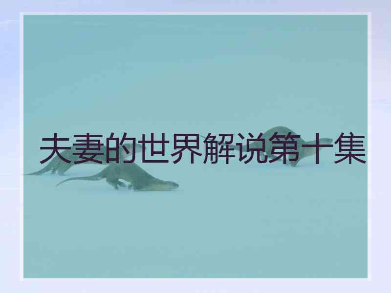 夫妻的世界解说第十集