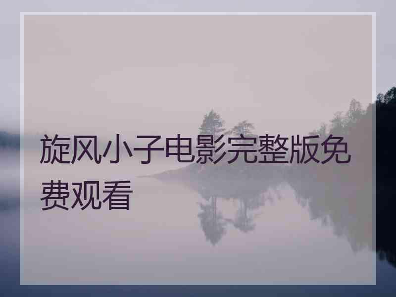 旋风小子电影完整版免费观看