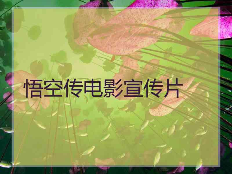 悟空传电影宣传片