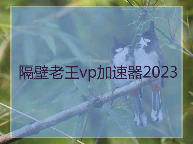 隔壁老王vp加速器2023