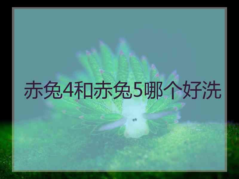 赤兔4和赤兔5哪个好洗