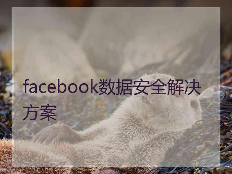 facebook数据安全解决方案