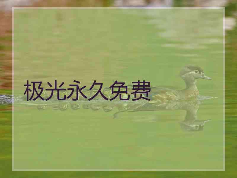 极光永久免费