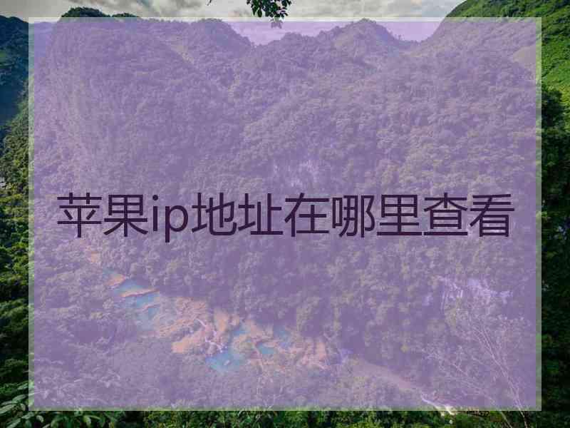 苹果ip地址在哪里查看