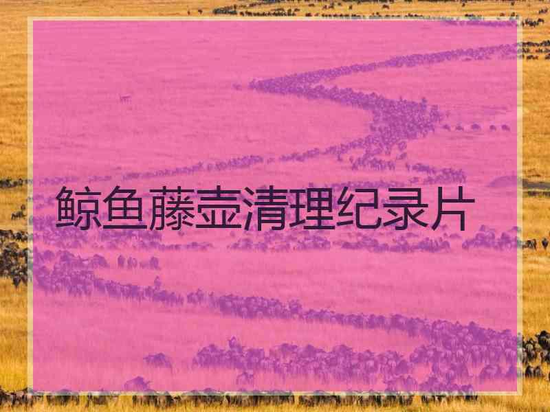 鲸鱼藤壶清理纪录片