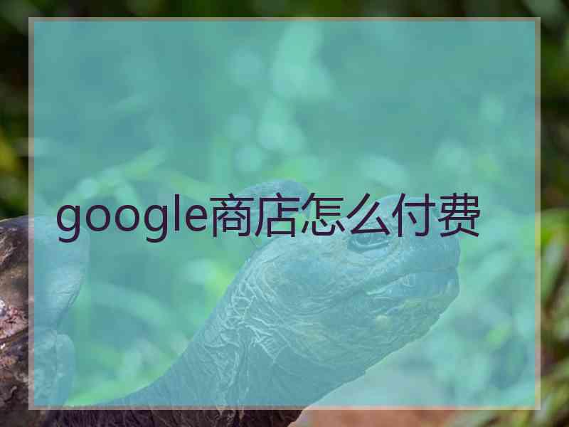 google商店怎么付费