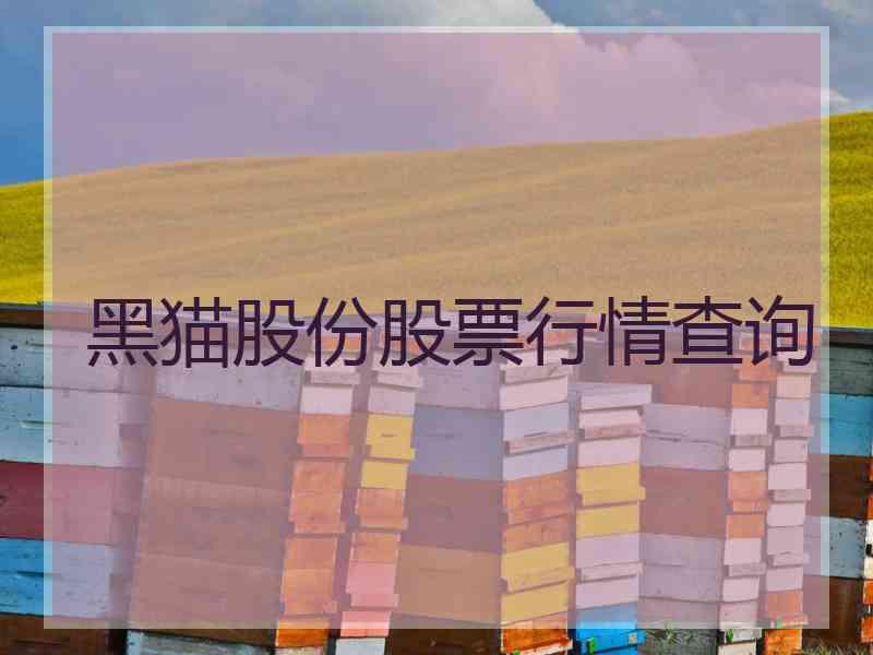 黑猫股份股票行情查询
