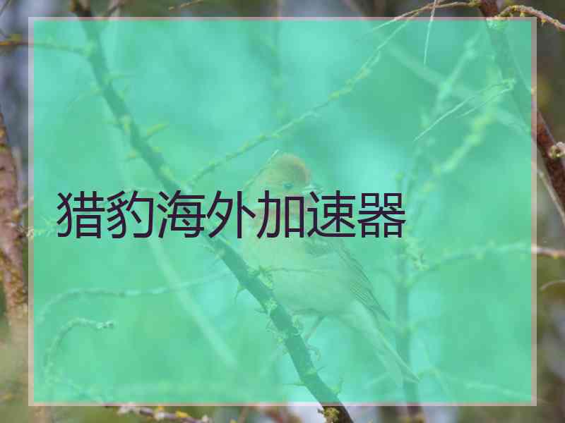 猎豹海外加速器