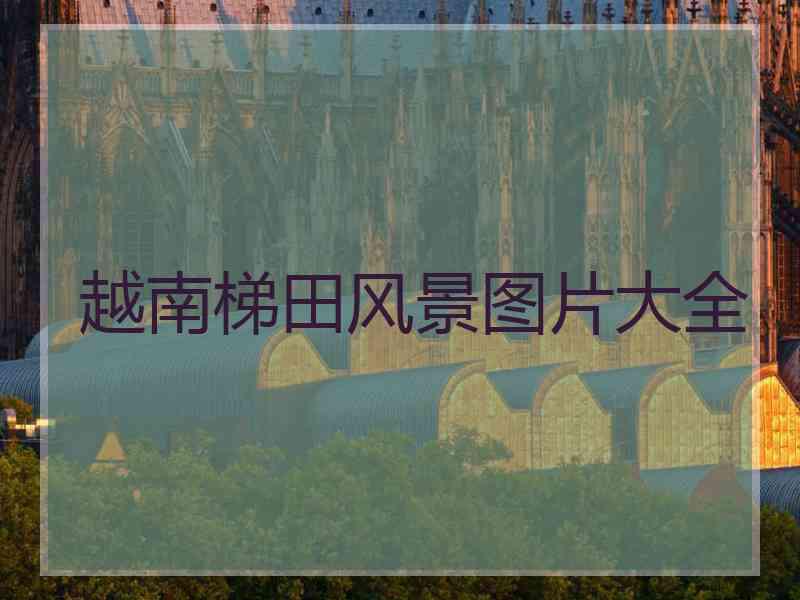 越南梯田风景图片大全