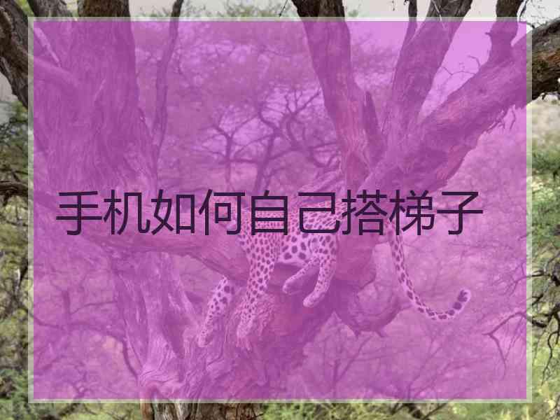 手机如何自己搭梯子