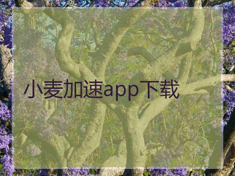 小麦加速app下载