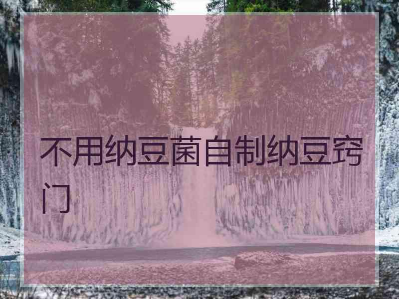 不用纳豆菌自制纳豆窍门