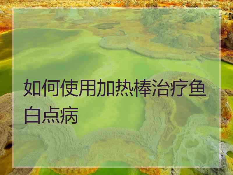 如何使用加热棒治疗鱼白点病