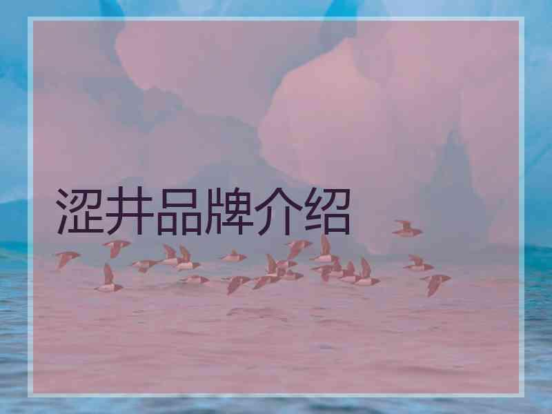 涩井品牌介绍