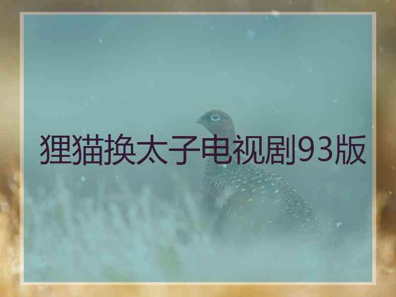 狸猫换太子电视剧93版